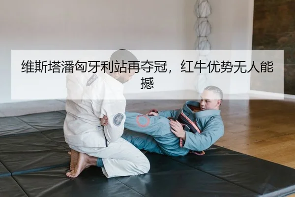 维斯塔潘匈牙利站再夺冠，红牛优势无人能撼